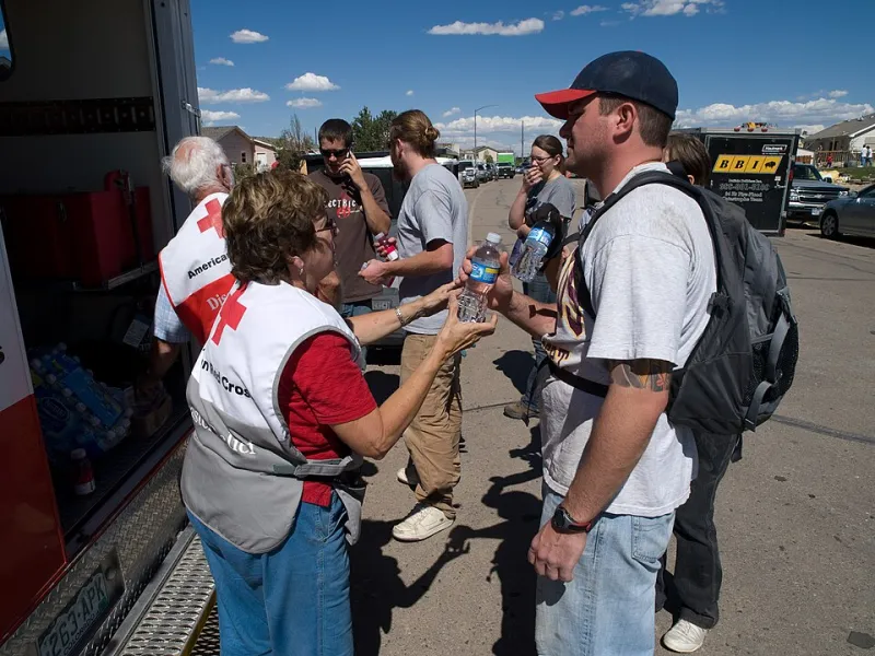 Before You Write the Check, Show Up in Person: What Volunteering Reveals That Donations Never Can